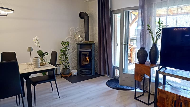 Jolie villa mitoyenne avec 2 terrasses et jardin (3)