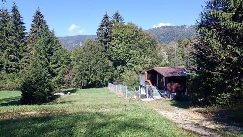 Chalet de 4,5 pièces – Un havre de paix aux portes de Bienne (3)