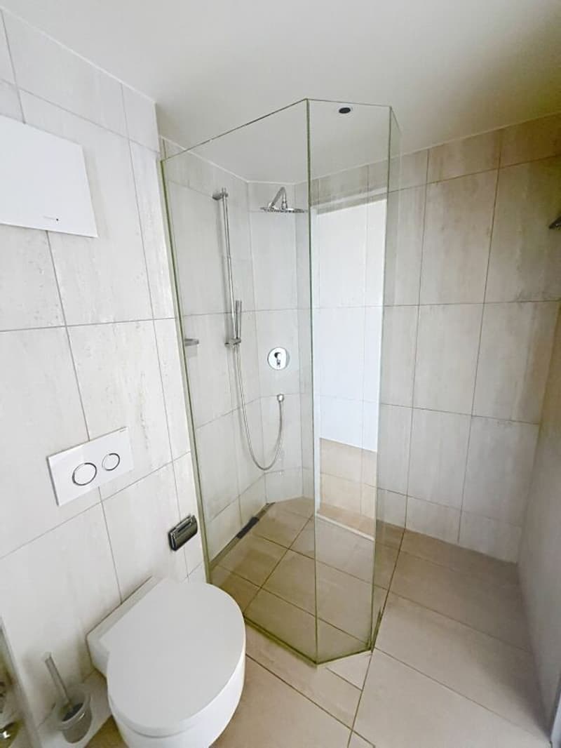 Appartement de 4.5 pces (10)