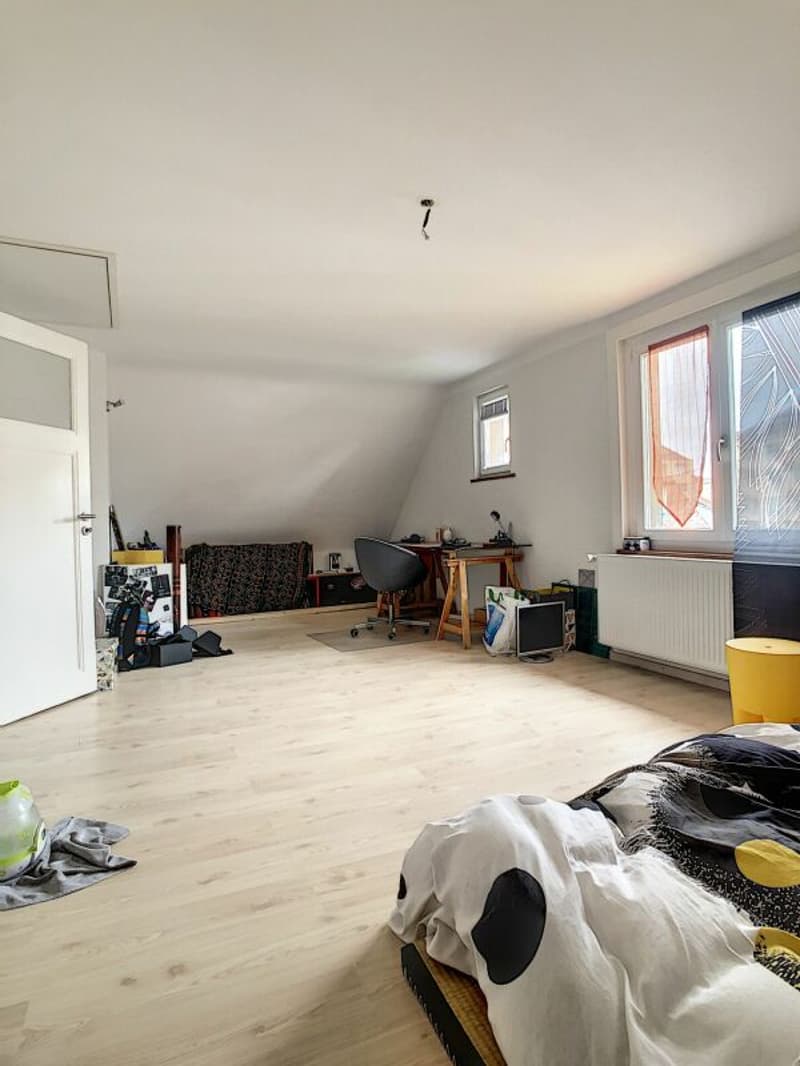3.5 pces Combles (9)