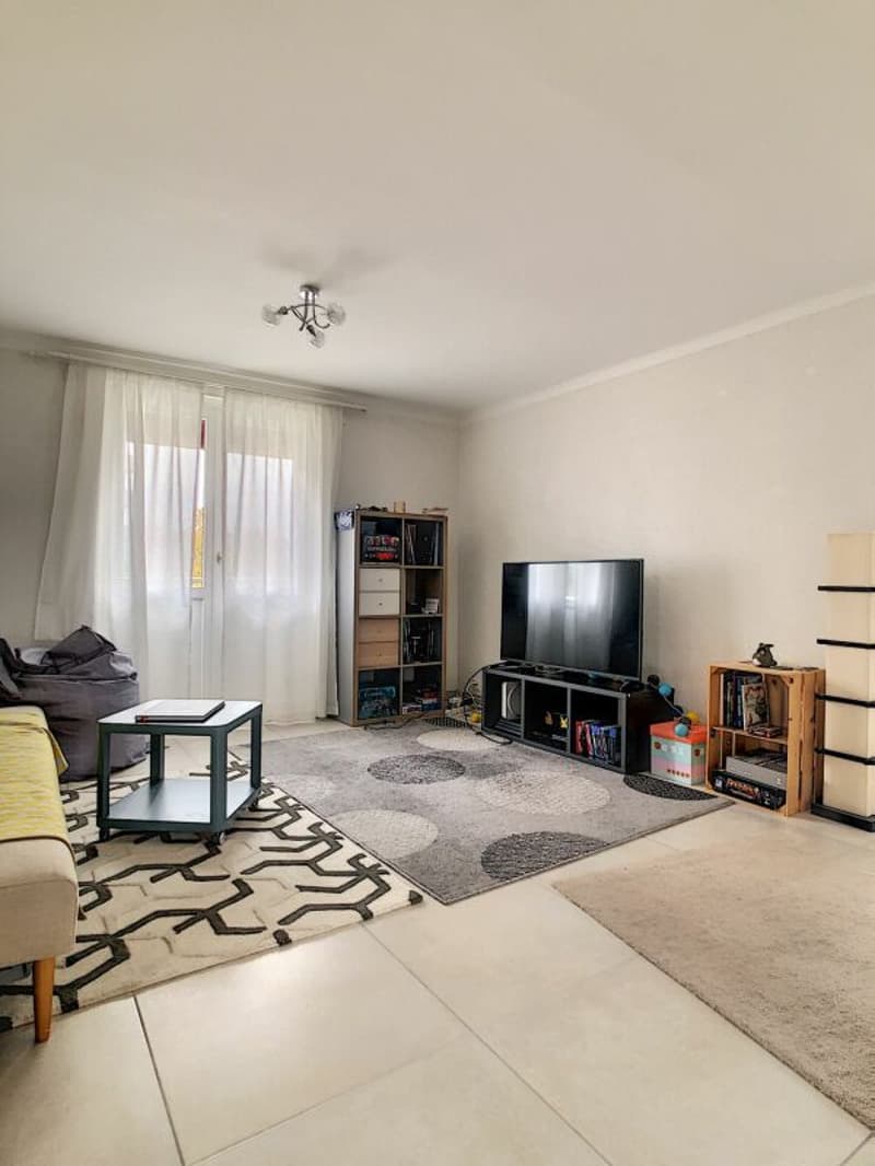 3.5 pces Combles (4)