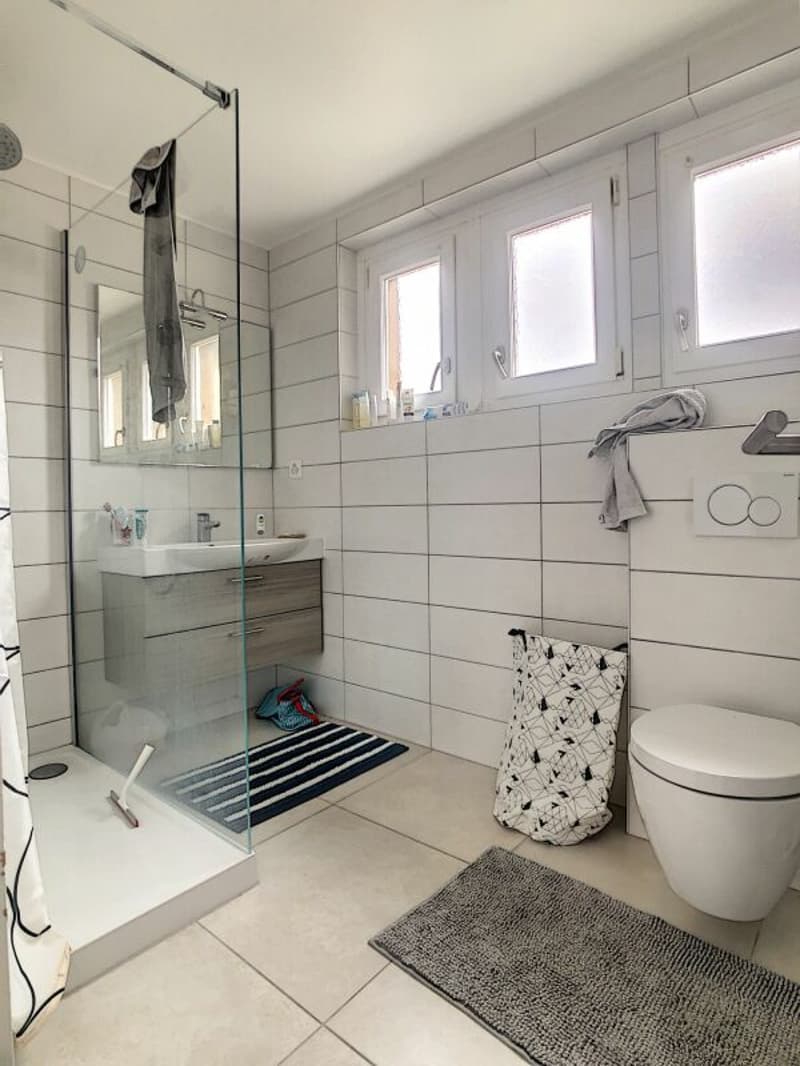 3.5 pces Combles (10)