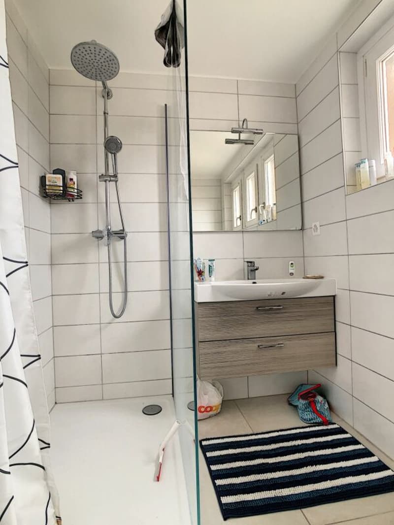 3.5 pces Combles (7)