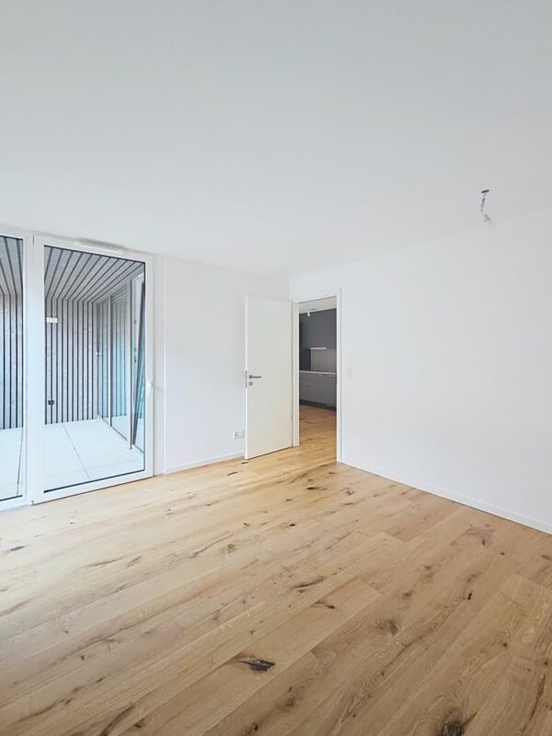 Nouvelle construction 3.5 pièces haut standing (6)