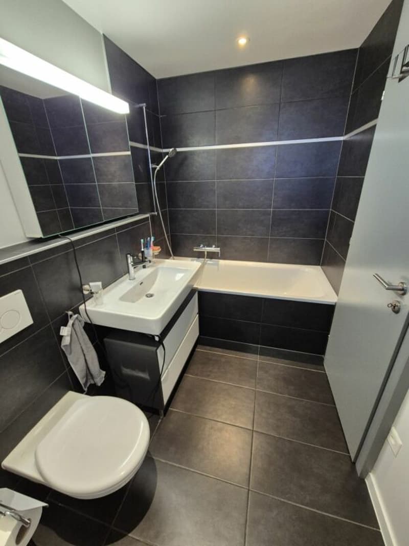 Appartement de 4.5 pces (13)