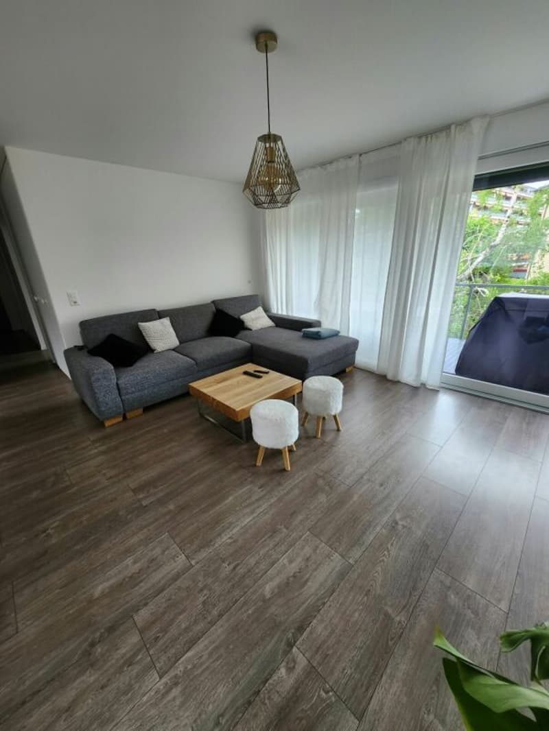 Appartement de 4.5 pces (6)