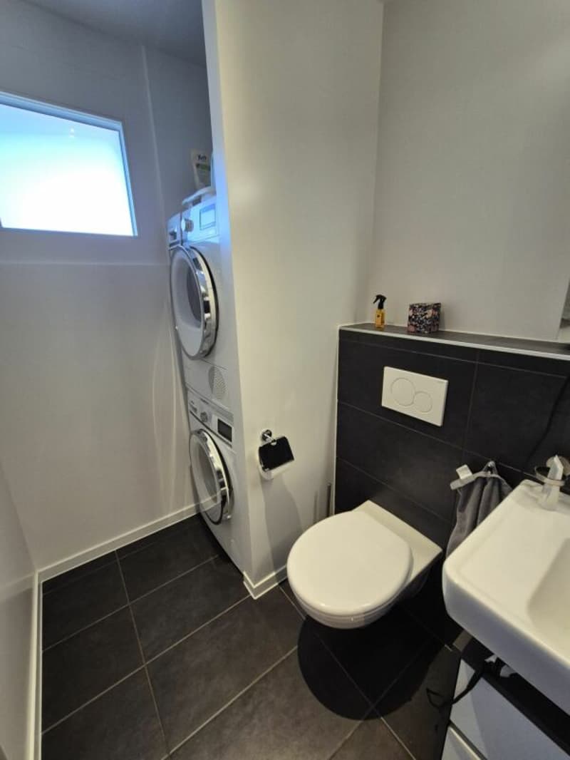 Appartement de 4.5 pces (12)