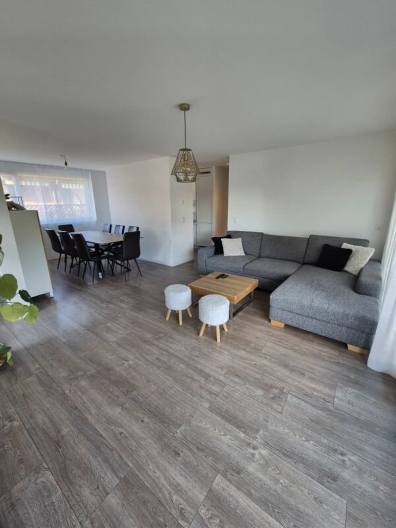 Appartement de 4.5 pces (5)