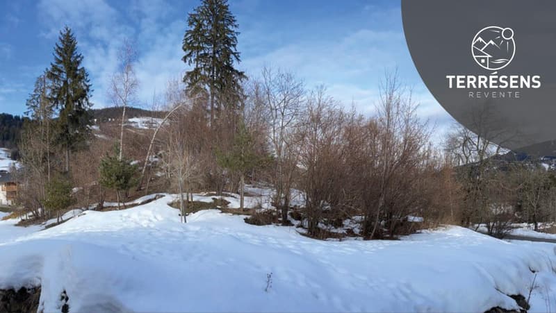 APPARTEMENT T2 - RÉSIDENCE L'ALTIMA À MEGÈVE (9)