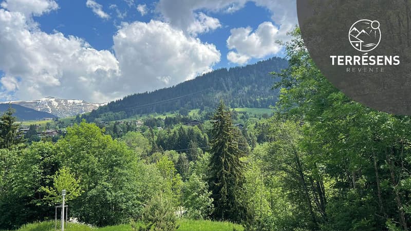 APPARTEMENT T2 - RÉSIDENCE L'ALTIMA À MEGÈVE (9)