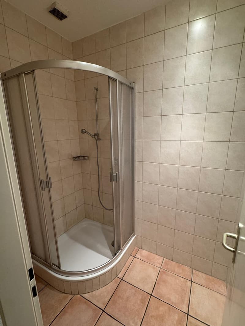 Bathroom: tiled walls, tiled floor, glass shower enclosure, showerhead and handheld shower