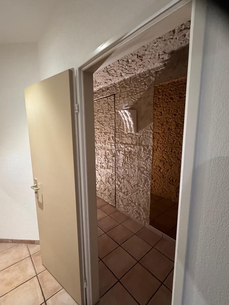 white painted wall, tiled floor, stone walls, metal door