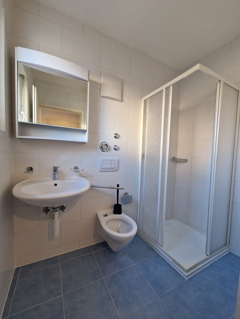 Bathroom with white tiles, white sink, white toilet, glass shower enclosure, mirror