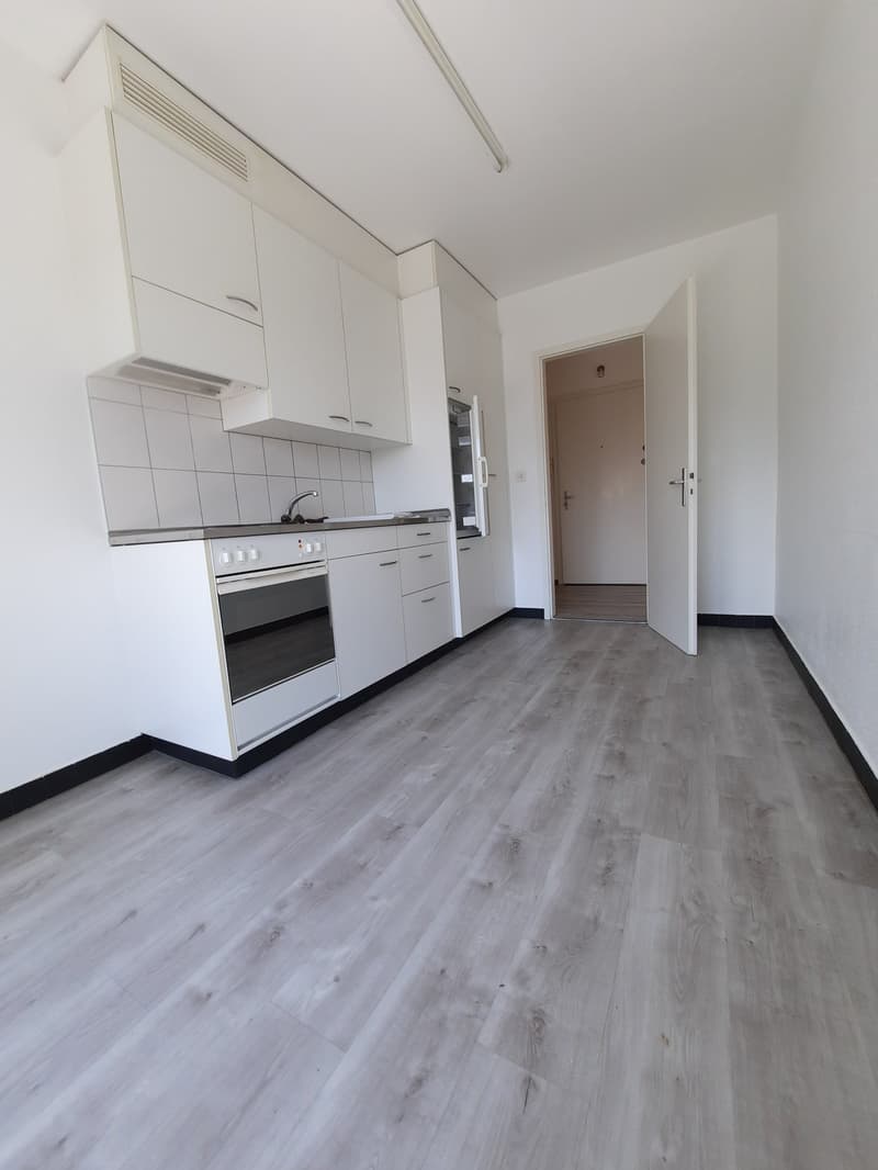 Appartement de 3 pièces avec balcon (8)