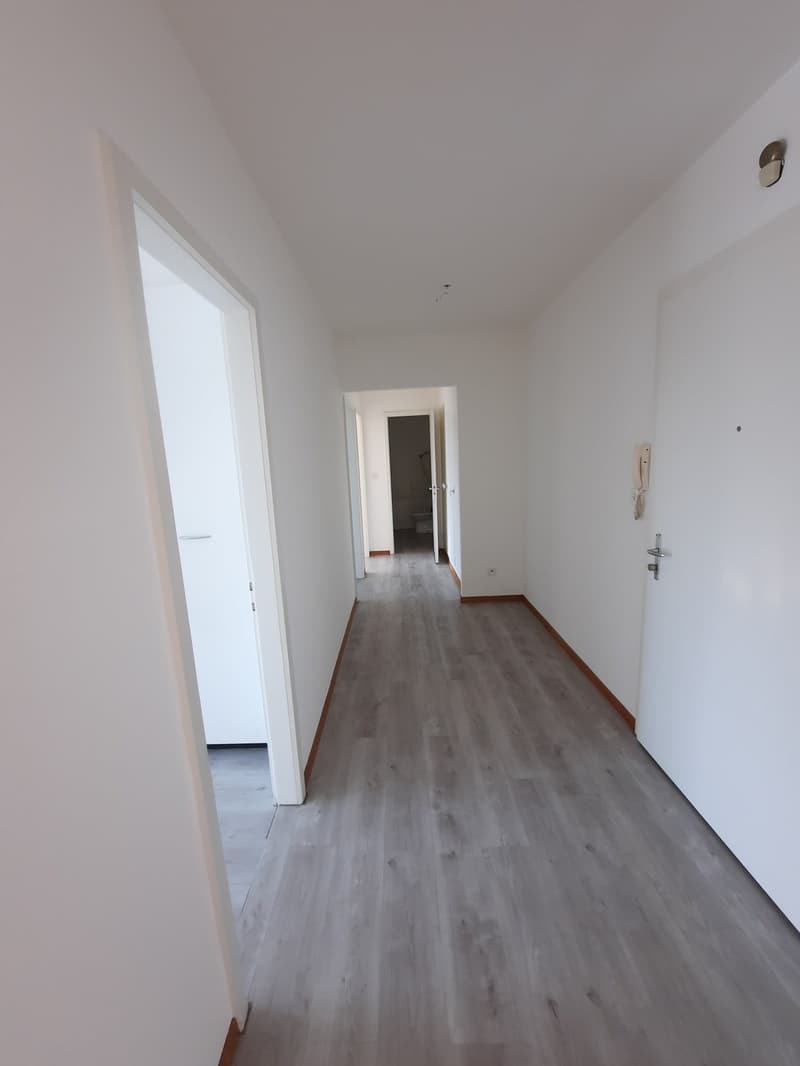 Appartement de 3 pièces avec balcon (10)