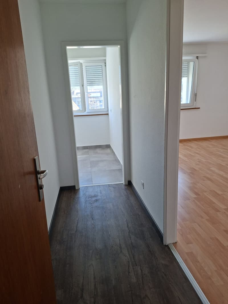 Appartement de 2 pièces à louer à Bienne (1)
