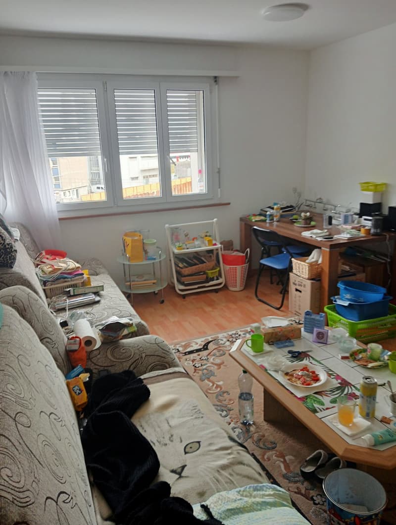Appartement de 2 pièces à louer à Bienne (6)
