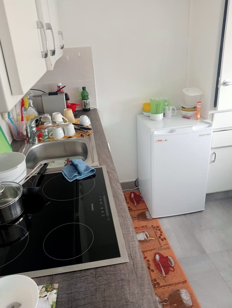Appartement de 2 pièces à louer à Bienne (4)