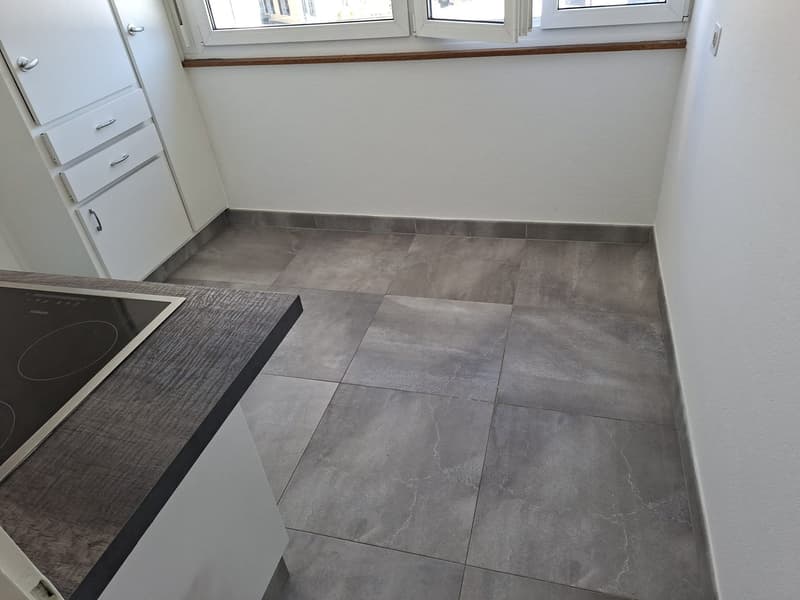 Appartement de 2 pièces à louer à Bienne (2)