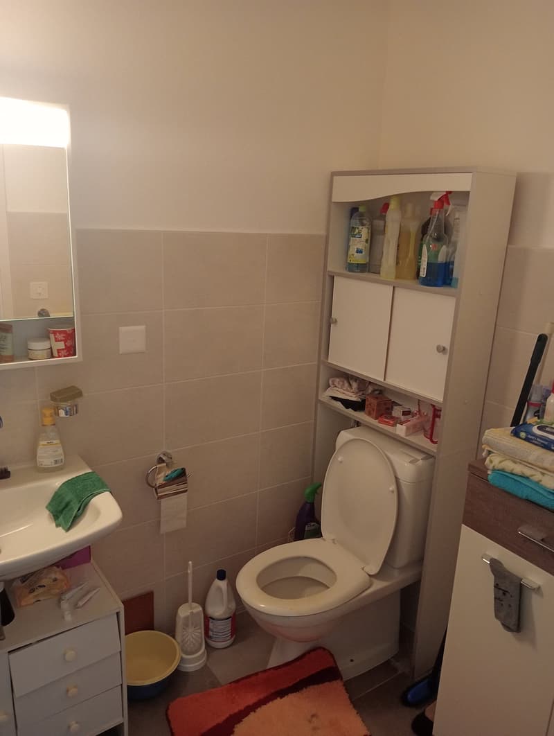 Appartement de 2 pièces à louer à Bienne (2)