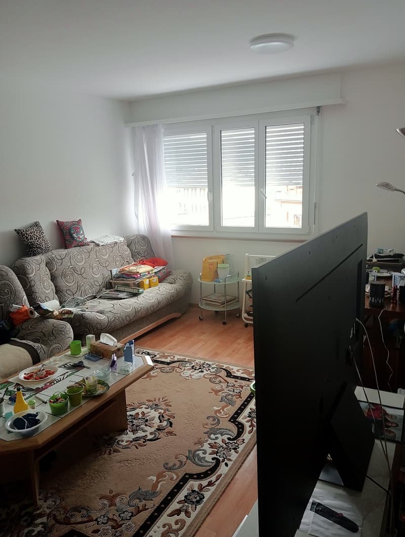 Appartement de 2 pièces à louer à Bienne (8)