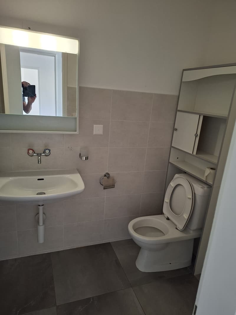 Appartement de 2 pièces à louer à Bienne (6)