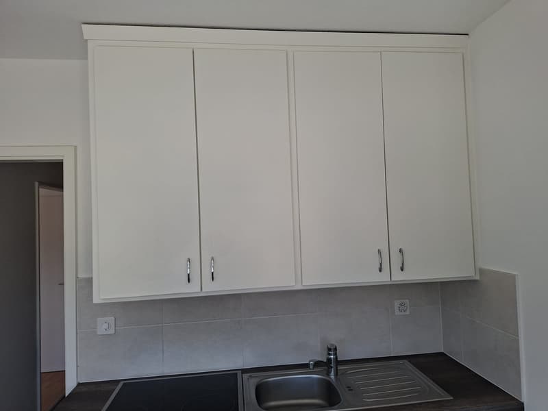 Appartement de 2 pièces à louer à Bienne (4)