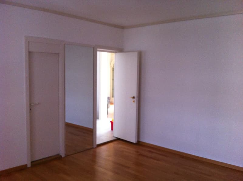 Très bel appartement de 3.5 pièces au 4ème étage (3)