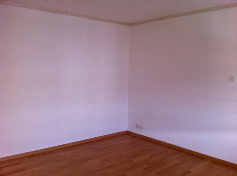 Très bel appartement de 3.5 pièces au 4ème étage (4)