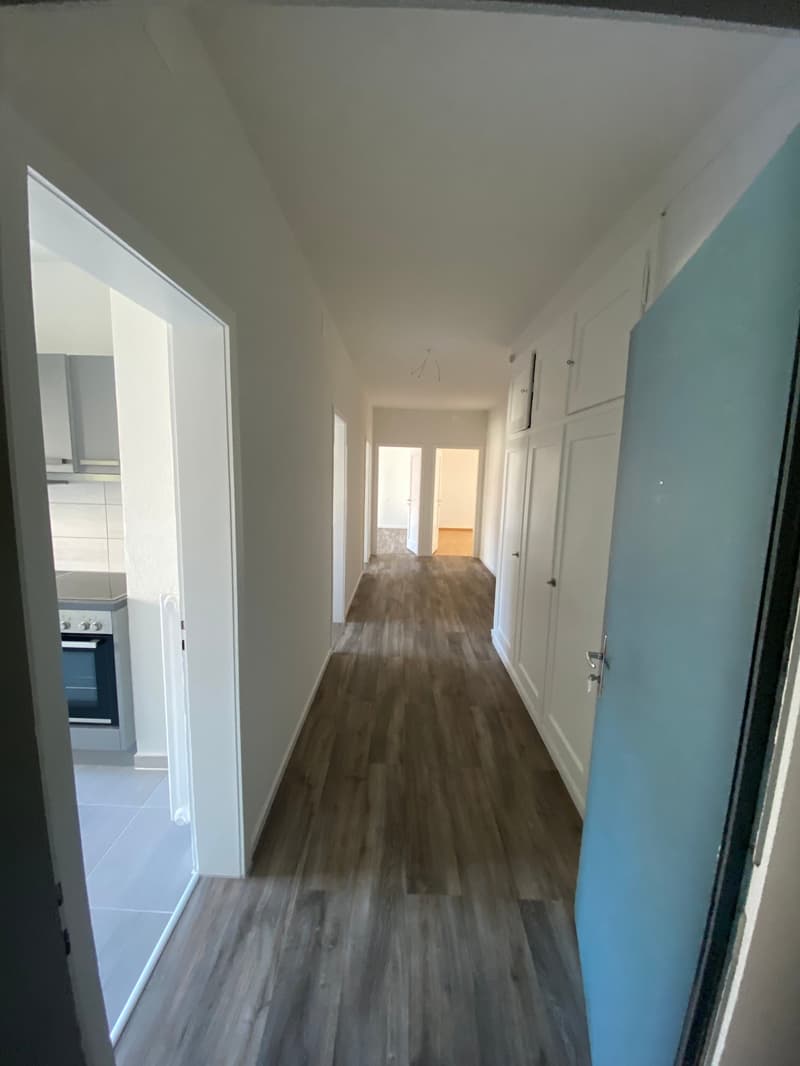 Spacieux et lumineux appartement (2)