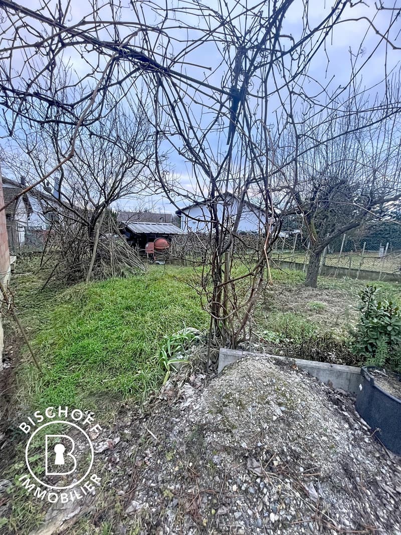 Charmantes Einfamilienhaus mit Garten in Kembs – sofort verfügbar! (23)