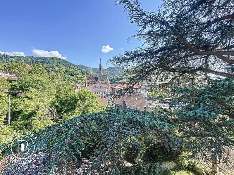 Charmantes Einfamilienhaus aus dem Jahr 1920 in ruhiger Lage von Thann (27)