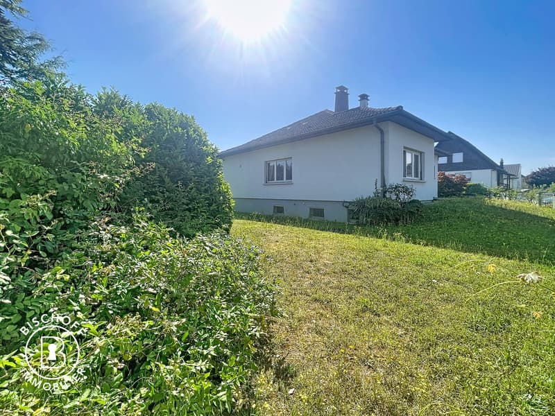 Schönes ebenerdiges Haus mit voll unterkellertem Keller (18)