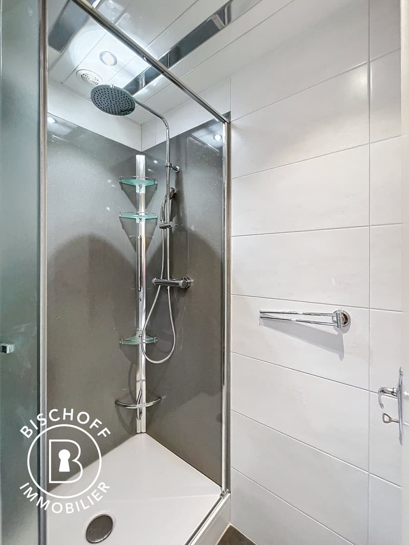 Spacieux appartement de 5 pièces avec balcon et vue agréable – Mulhouse (13)