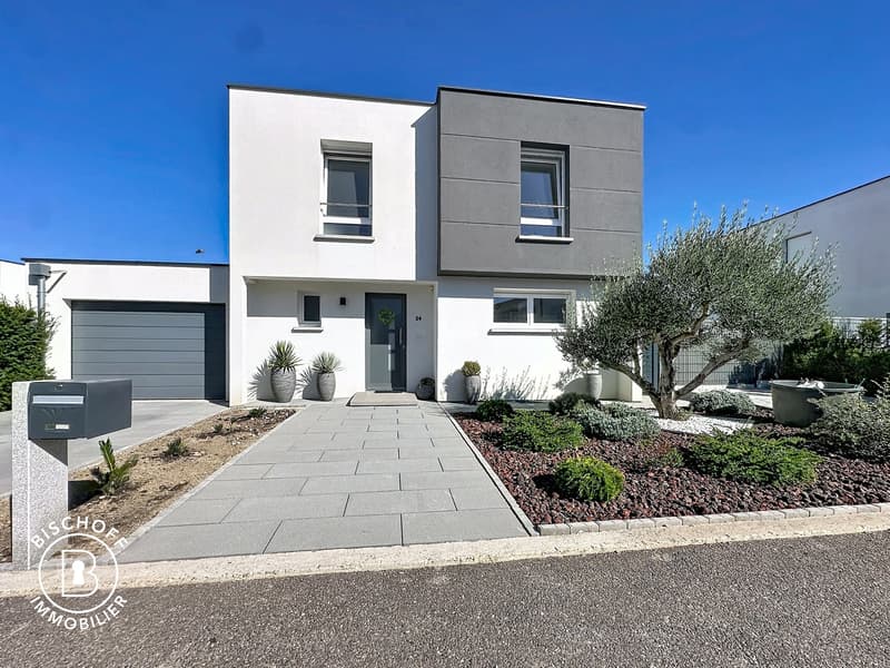 Modernes Einfamilienhaus mit Pool und Garage in Blotzheim (1)