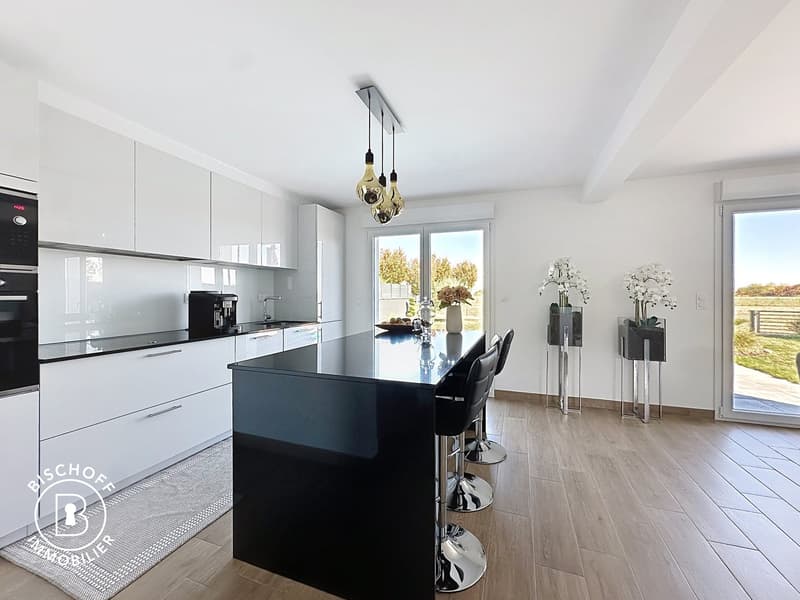 Modernes Einfamilienhaus mit Pool und Garage in Blotzheim (3)
