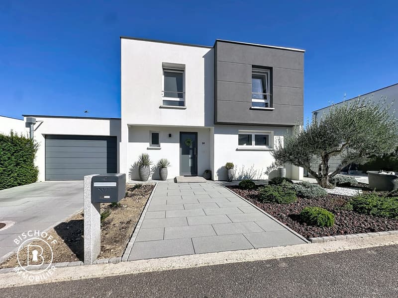 Modernes Einfamilienhaus mit Pool und Garage in Blotzheim (38)