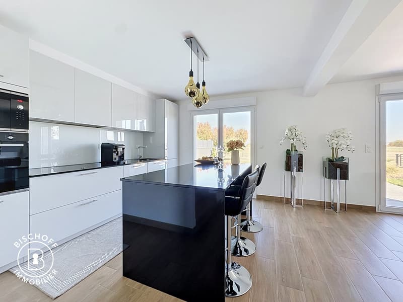 Modernes Einfamilienhaus mit Pool und Garage in Blotzheim (2)