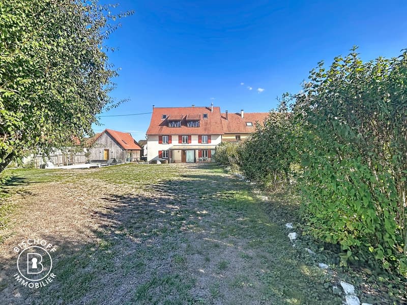 Charmantes charaktervolles 7-Zimmer-Haus, 10 Minuten von der Schweizer Grenze entfernt (16)