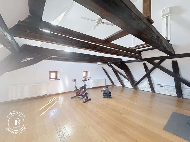 Charmantes charaktervolles 7-Zimmer-Haus, 10 Minuten von der Schweizer Grenze entfernt (12)