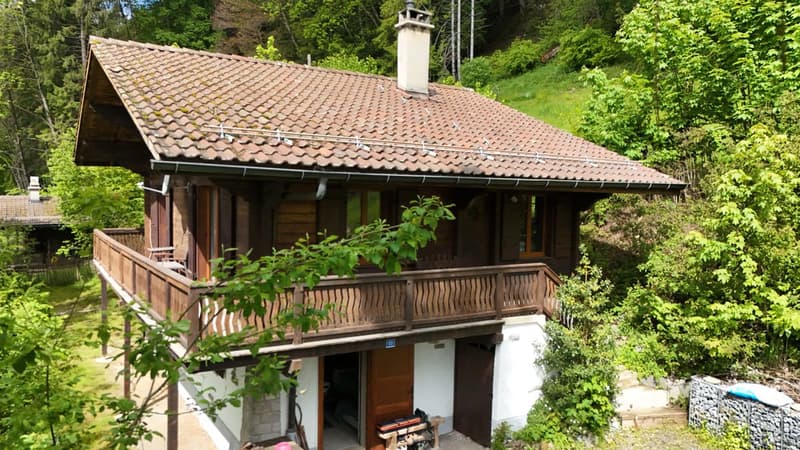 Particulier ou investisseur, chalet à haut potentiel à Villars-sur-Ollon (2)
