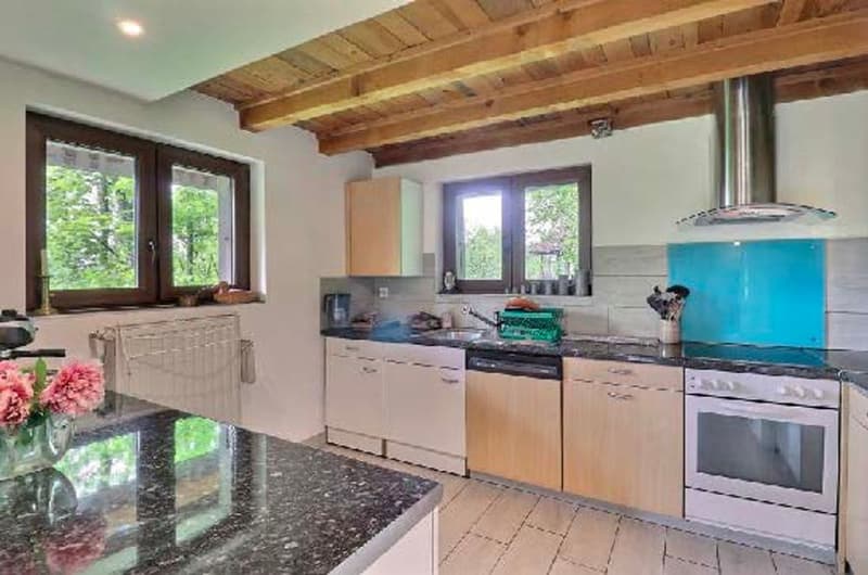 Particulier ou investisseur, chalet à haut potentiel à Villars-sur-Ollon (3)