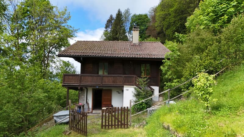 Particulier ou investisseur, chalet à haut potentiel à Villars-sur-Ollon (12)
