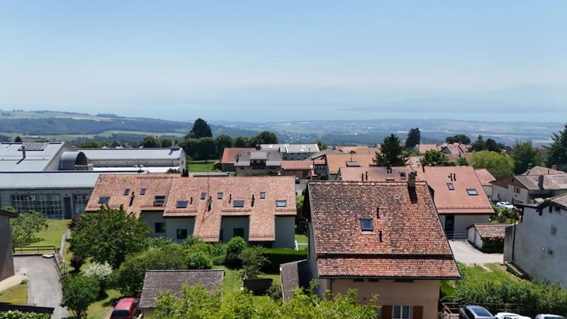 Arzier village, maison individuelle de 2 appartements (9)