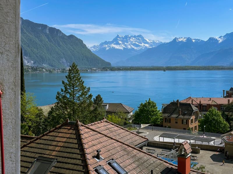 Appartement lumineux de 2,5 pièces avec vue lac et montagnes (5)