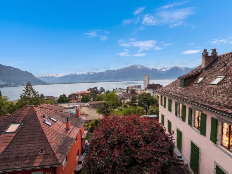 Appartement lumineux de 2,5 pièces avec vue lac et montagnes (6)