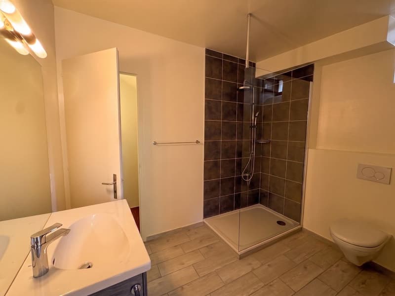 Appartement lumineux de 2,5 pièces avec vue lac et montagnes (7)
