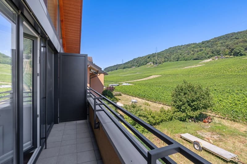 Élégance et confort pour cette attique en duplex avec vue sur le lac et les Alpes (6)