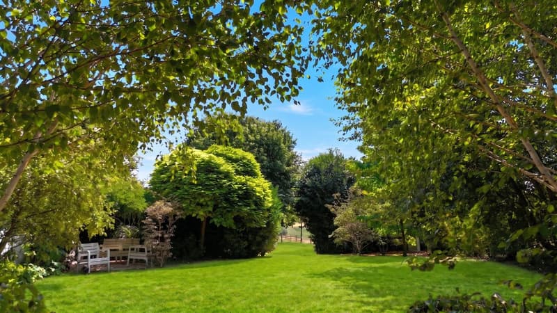 Magnifique jardin