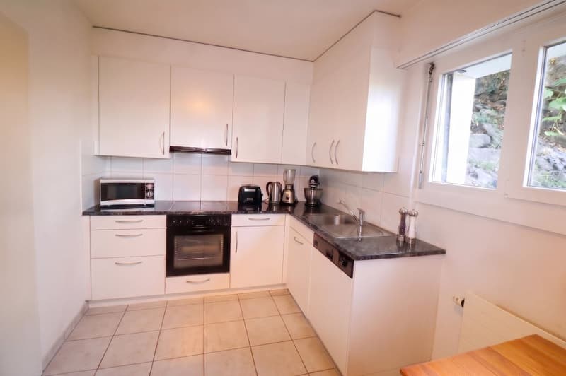 Appartement avec grand jardin et vue panoramique sur le lac (11)